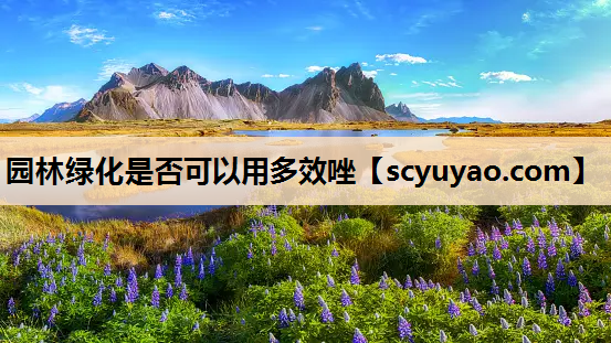 园林绿化是否可以用多效唑