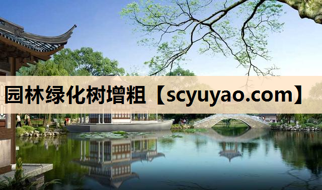 园林绿化树增粗