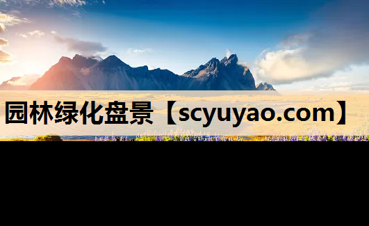 园林绿化盘景