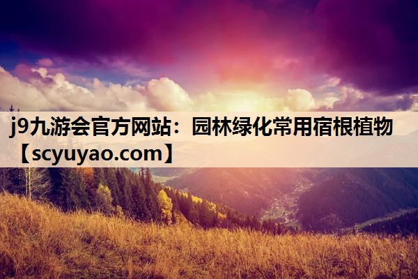 j9九游会官方网站：园林绿化常用宿根植物