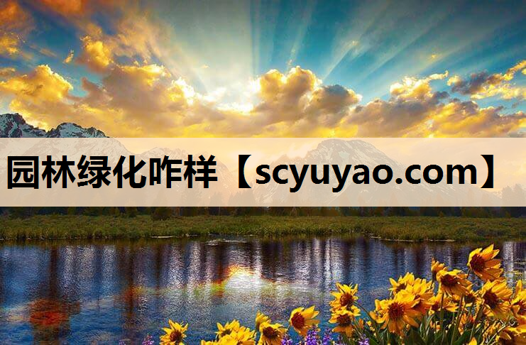 园林绿化咋样