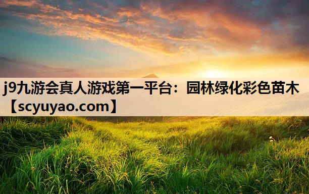 j9九游会真人游戏第一平台：园林绿化彩色苗木