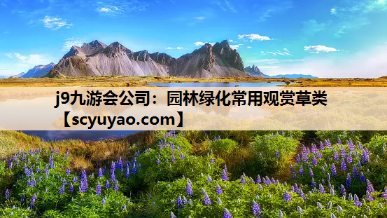 j9九游会公司：园林绿化常用观赏草类