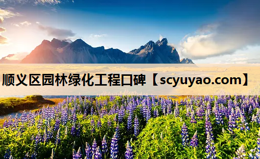 顺义区园林绿化工程口碑