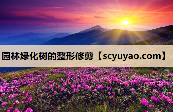 园林绿化树的整形修剪