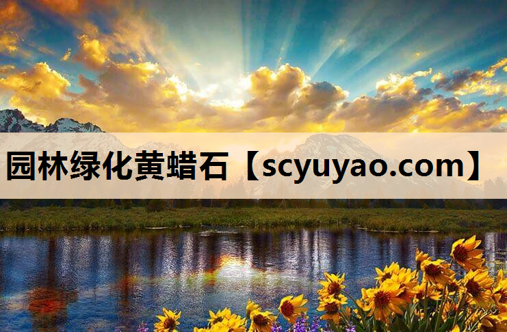 园林绿化黄蜡石
