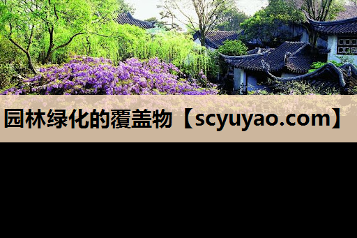 园林绿化的覆盖物