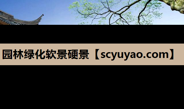 园林绿化软景硬景