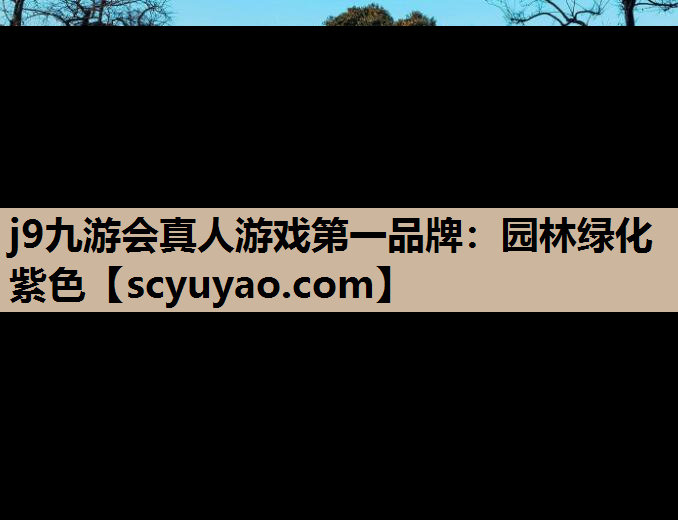 j9九游会真人游戏第一品牌：园林绿化紫色