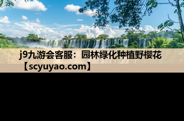 j9九游会客服：园林绿化种植野樱花