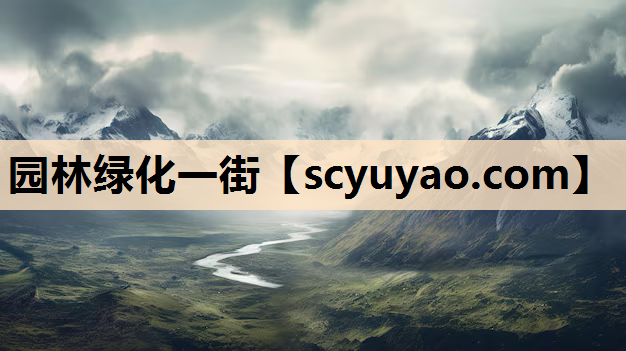 园林绿化一街