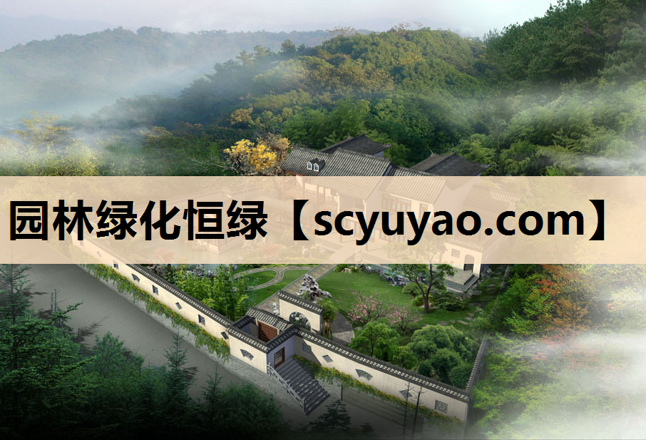 园林绿化恒绿