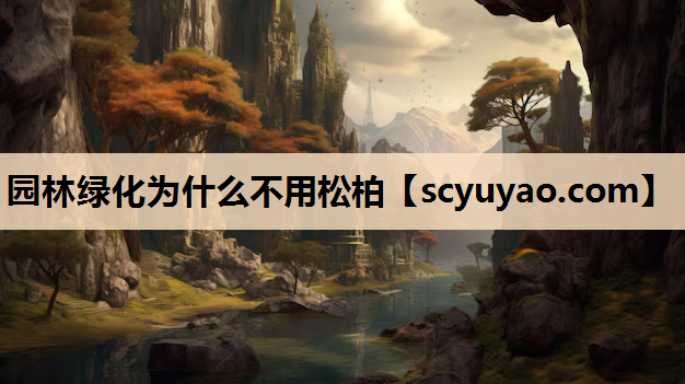 园林绿化为什么不用松柏