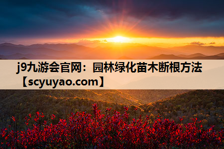 j9九游会官网：园林绿化苗木断根方法