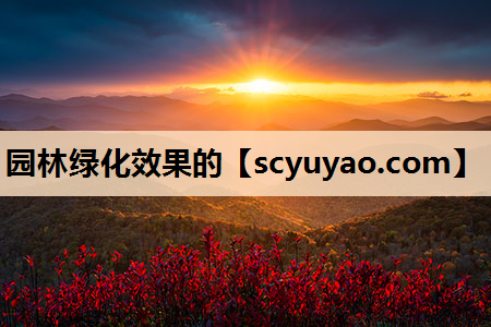 园林绿化效果的