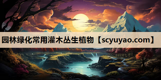 园林绿化常用灌木丛生植物