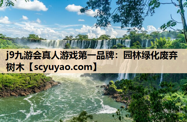 j9九游会真人游戏第一品牌：园林绿化废弃树木