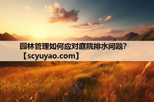 园林管理如何应对庭院排水问题？