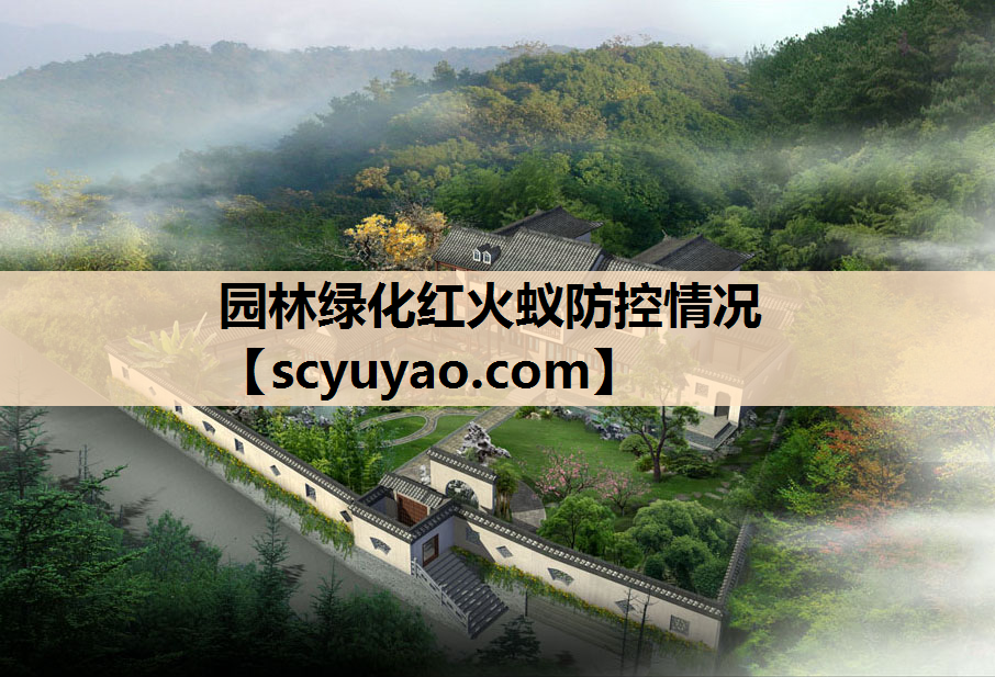 园林绿化红火蚁防控情况