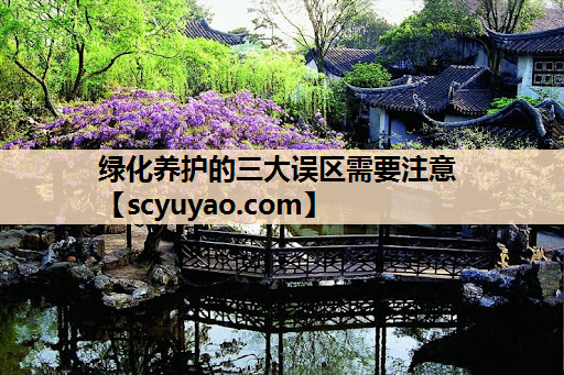 绿化养护的三大误区需要注意
