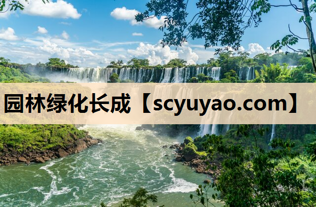 园林绿化长成