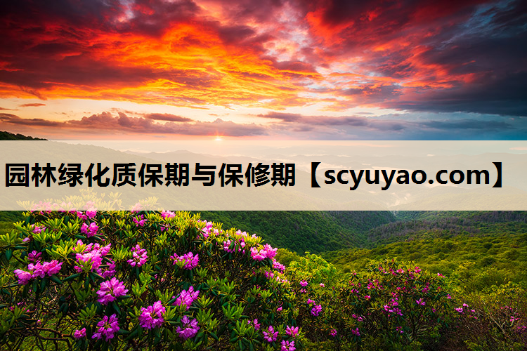 园林绿化质保期与保修期