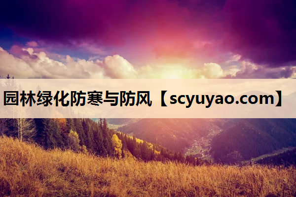 园林绿化防寒与防风