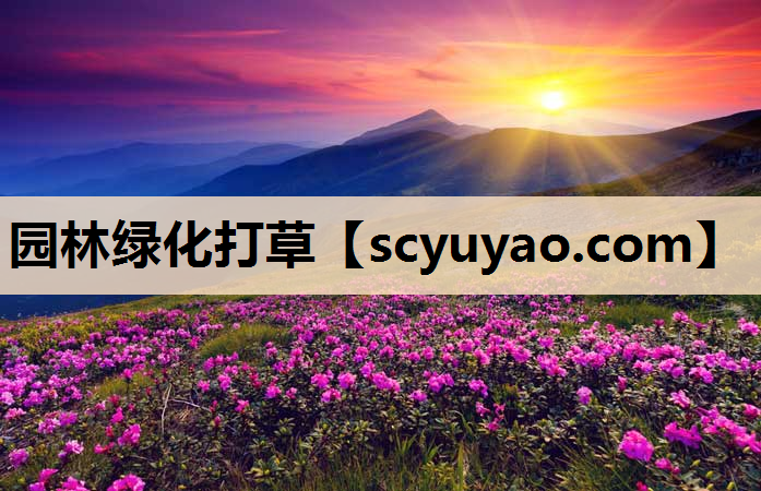 园林绿化打草