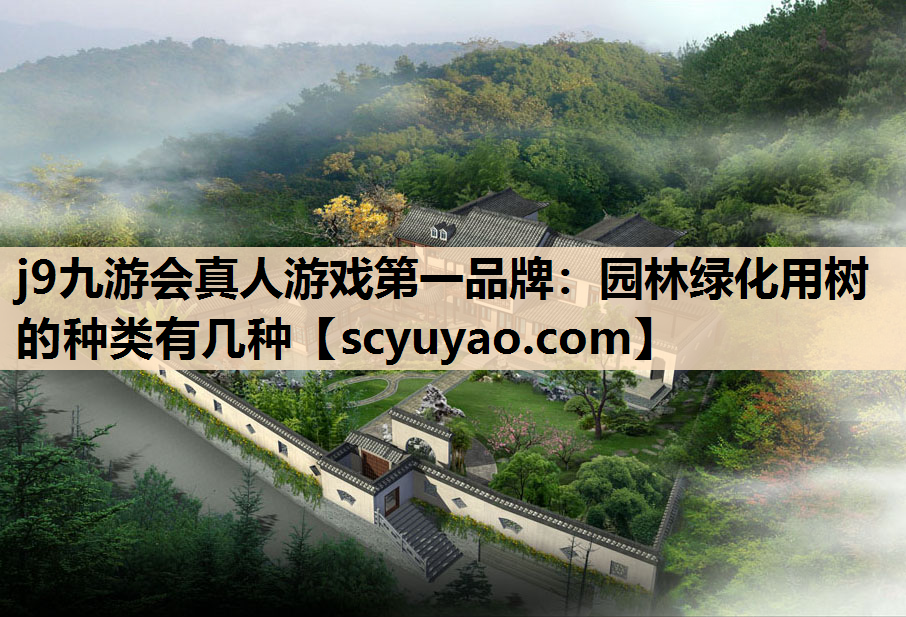 j9九游会真人游戏第一品牌：园林绿化用树的种类有几种