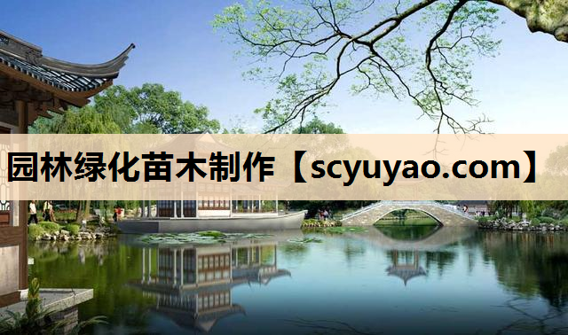 园林绿化苗木制作