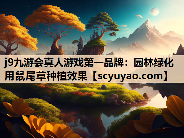 j9九游会真人游戏第一品牌：园林绿化用鼠尾草种植效果