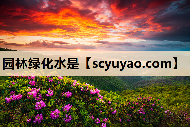 园林绿化水是