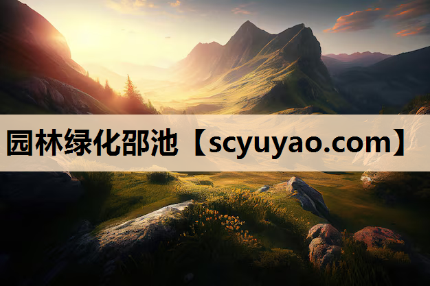 园林绿化邵池
