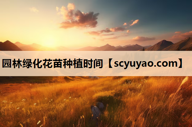 园林绿化花苗种植时间