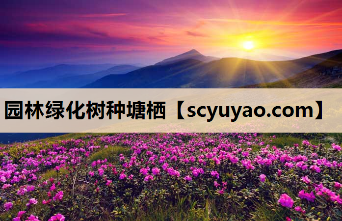 园林绿化树种塘栖