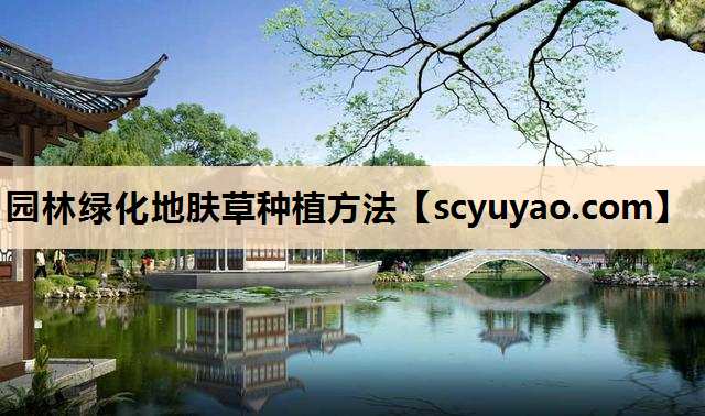 园林绿化地肤草种植方法