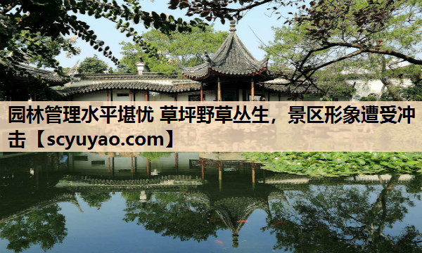 园林管理水平堪忧 草坪野草丛生，景区形象遭受冲击