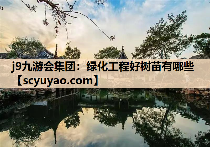j9九游会集团：绿化工程好树苗有哪些