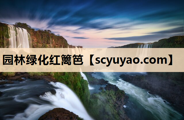 园林绿化红篱笆