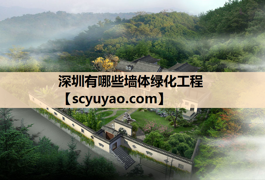 深圳有哪些墙体绿化工程