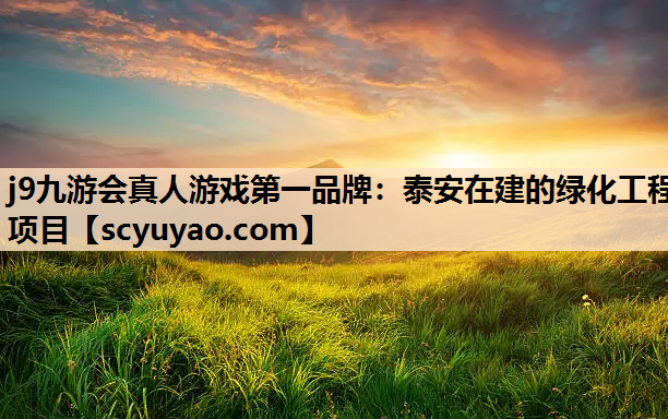 j9九游会真人游戏第一品牌：泰安在建的绿化工程项目