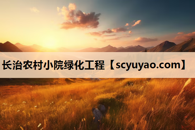 长治农村小院绿化工程