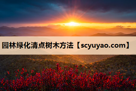园林绿化清点树木方法