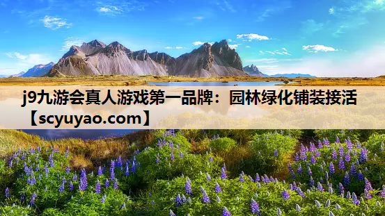 j9九游会真人游戏第一品牌：园林绿化铺装接活