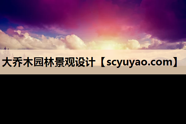 大乔木园林景观设计
