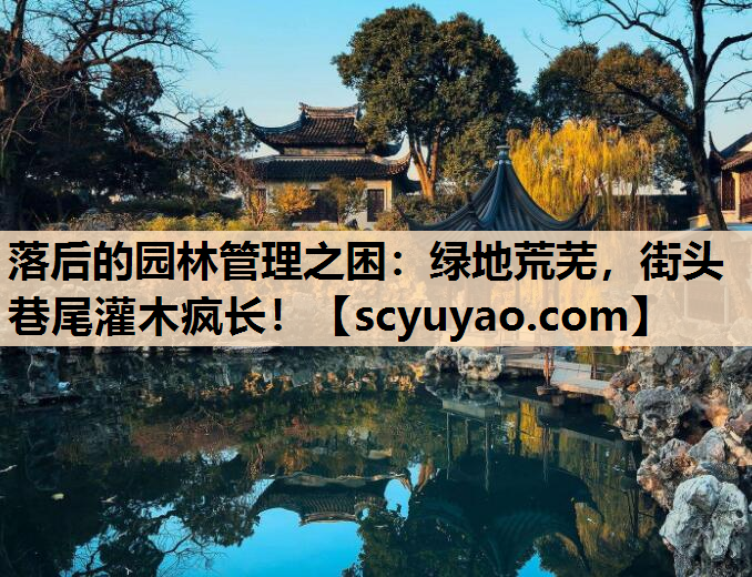 落后的园林管理之困：绿地荒芜，街头巷尾灌木疯长！