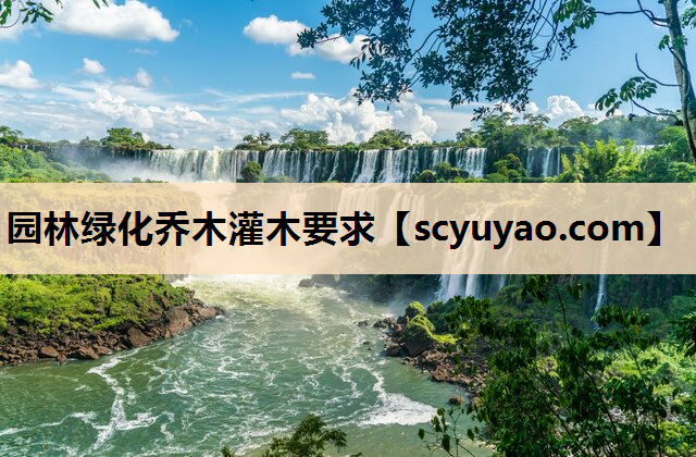 园林绿化乔木灌木要求