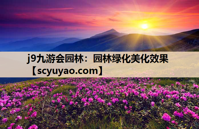 j9九游会园林：园林绿化美化效果